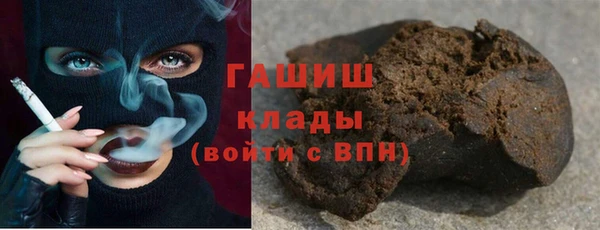гашик Пестово