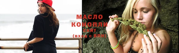 гашик Пестово