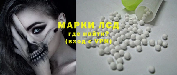гашик Пестово