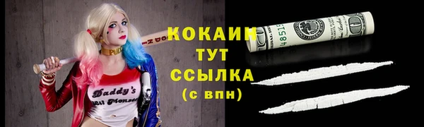 гашик Пестово