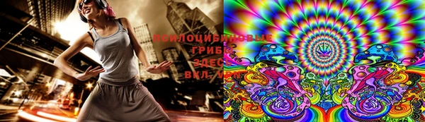 jwh Пересвет