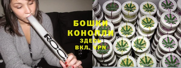 jwh Пересвет