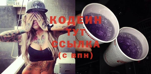 гашик Пестово