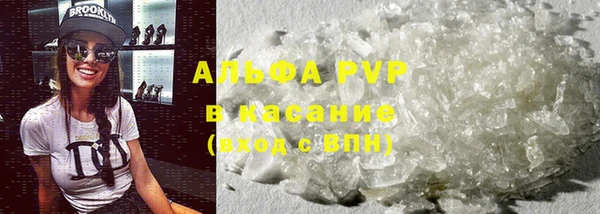 гашик Пестово