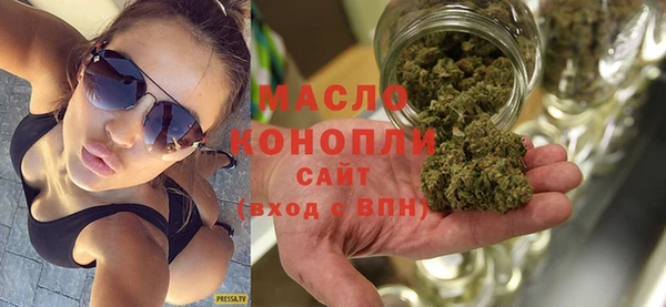 гашик Пестово