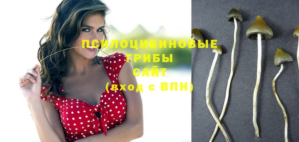 гашик Пестово