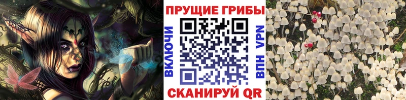 купить Прокопьевск omg зеркало Псилоцибиновые грибы MAGIC MUSHROOMS